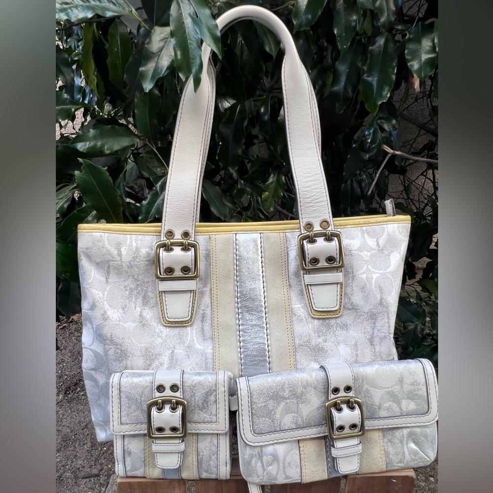 SOLD-Coach Limited Edition White and silver tie dye with matching wristlet